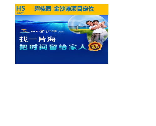 房地產(chǎn)營(yíng)銷(xiāo)策劃與銷(xiāo)售代理 專(zhuān)業(yè)服務(wù)助力項(xiàng)目成功